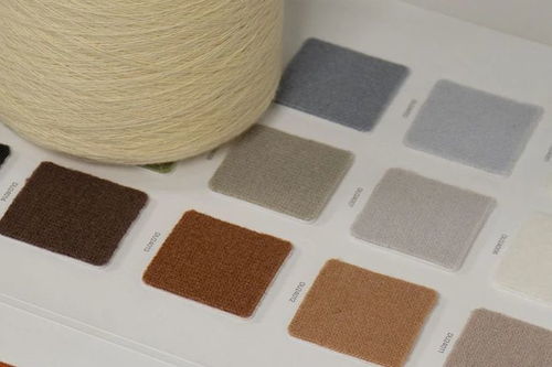 桐鄉你還藏著多少秘密